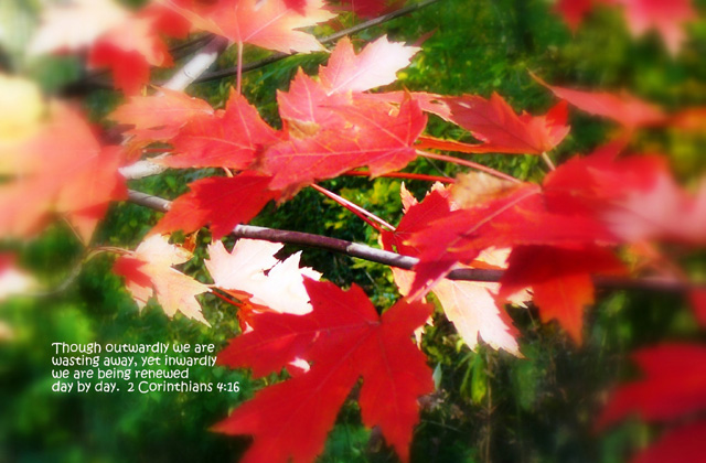 Fall Greeting Card