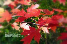 Fall greeting card