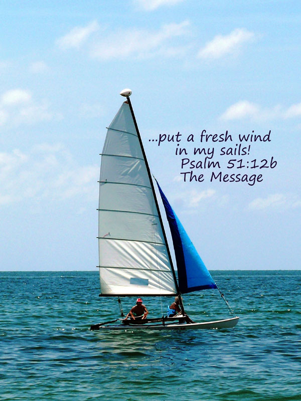 Sailboat Greeting Card