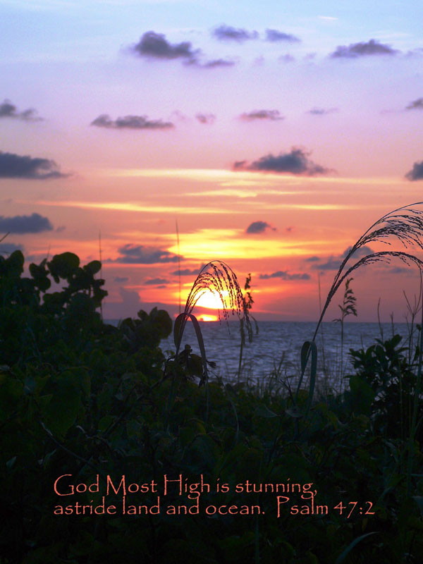 Sunset Greeting Card